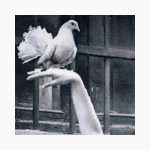 تابلو فرش دستبافت طرح دختر کبوتر باز کد 741341 - Image 2