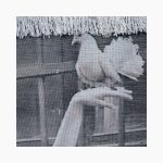 تابلو فرش دستبافت طرح دختر کبوتر باز کد 741341 - Image 3